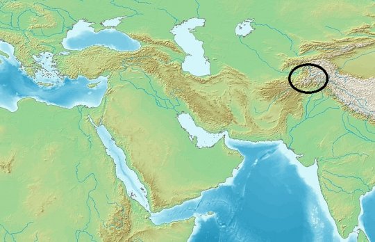 თურქ შაჰი (Turk Shahi) - 665-850 წწ.