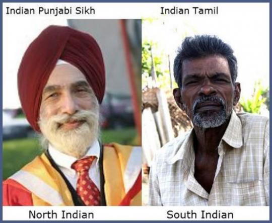 ჩრდილოეთ და სამხრეთ ინდოელების შედარება