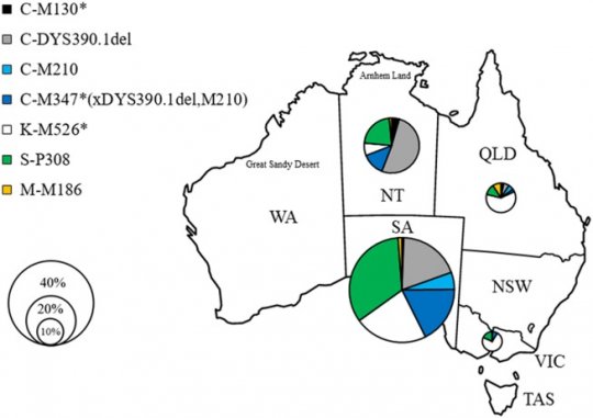 ავსტრალიელი აბორიგენების Y-ქრომოსომული ჰაპლოჯგუფები