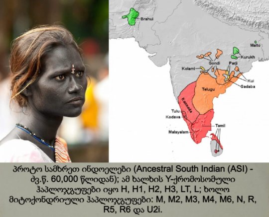 პროტო სამხრეთ ინდოელები / სამხრეთ ინდოელების წინაპრები