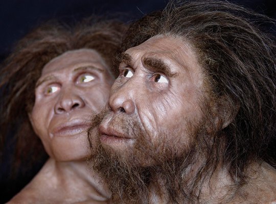 დმანისელი ჰომინინები (Dmanisi hominins)