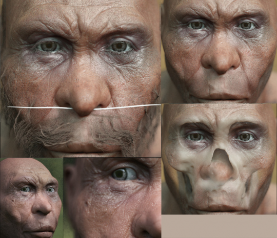 Homo Georgicus Facial Reconstruction - by Philippe Froesch