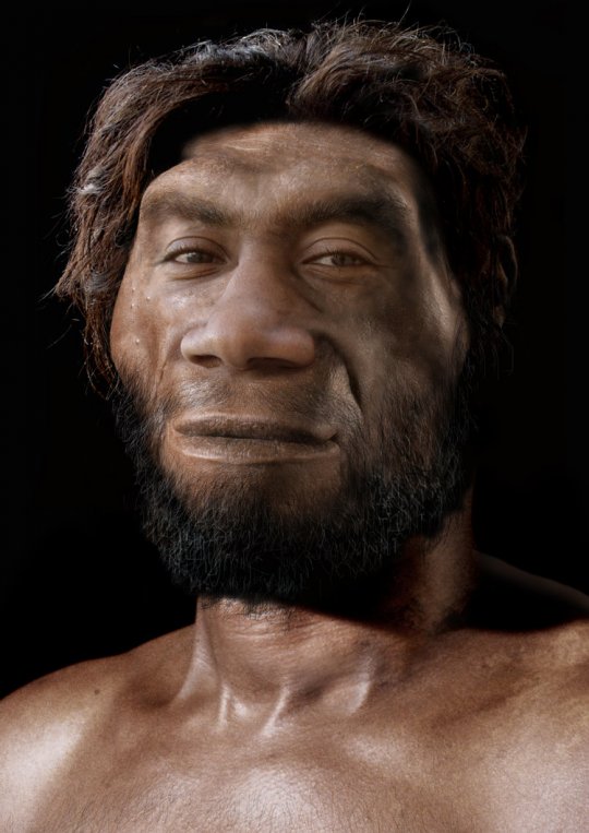 ჰომო ერექტუსი სანგირან 17 - ცხოვრობდა 1.3 მილიონი წლის წინ კ. იავაზე
