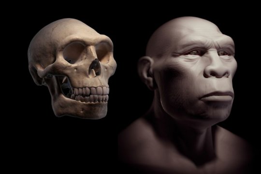 ჰომო ერექტუსი - Homo erectus
