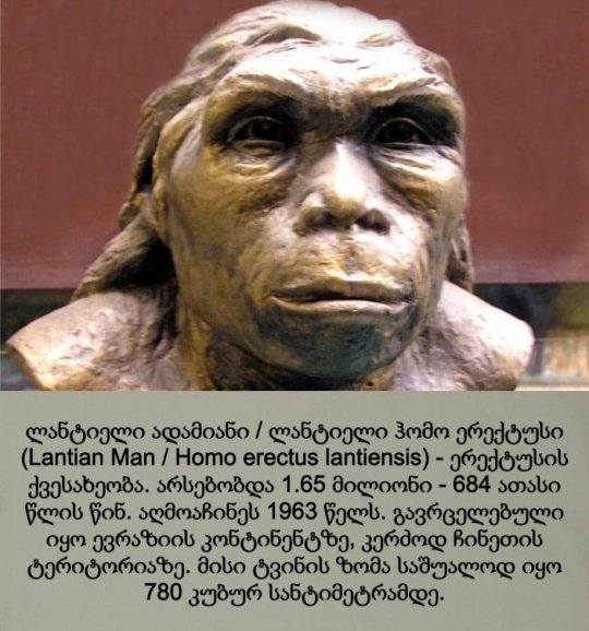 ლანტიელი ადამიანი / ლანტიელი ჰომო ერექტუსი Lantian Man / Homo erectus lantiensis