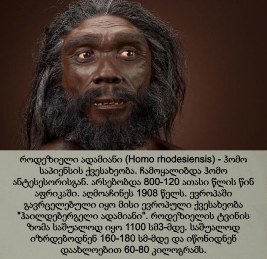 როდეზიელი ადამიანი / Homo rhodesiensis