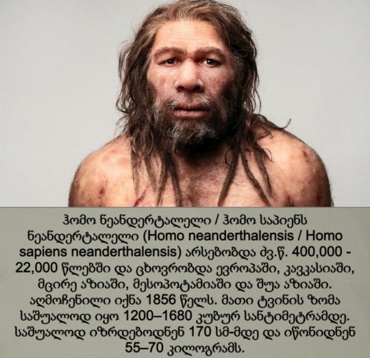 ნეანდერტალელი ადამიანი / Homo neanderthalensis / Neanderthals