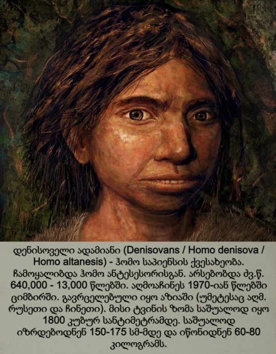დენისოველი ადამიანი / Denisovans / Homo denisova