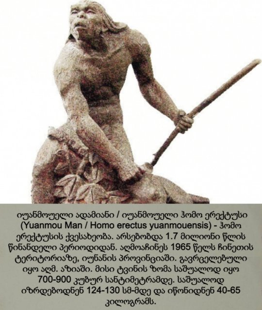 იუანმოუელი ადამიანი / იუანმოუელი ჰომო ერექტუსი / Yuanmou Man / Homo erectus yuanmouensis