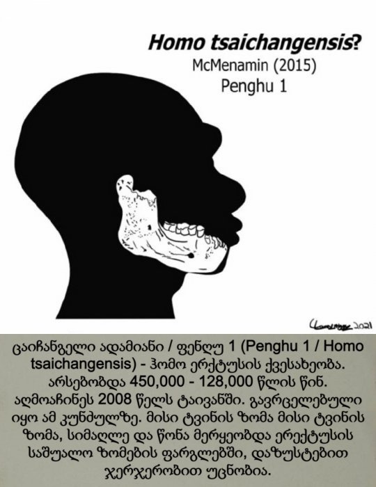 ცაიჩანგელი ადამიანი / Homo tsaichangensis