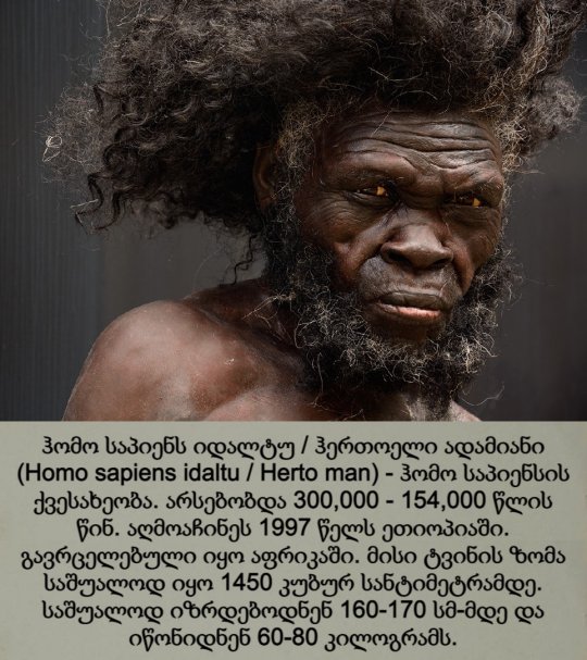 ჰომო საპიენს იდალტუ / ჰერთოელი ადამიანი / Homo sapiens idaltu / Herto Man