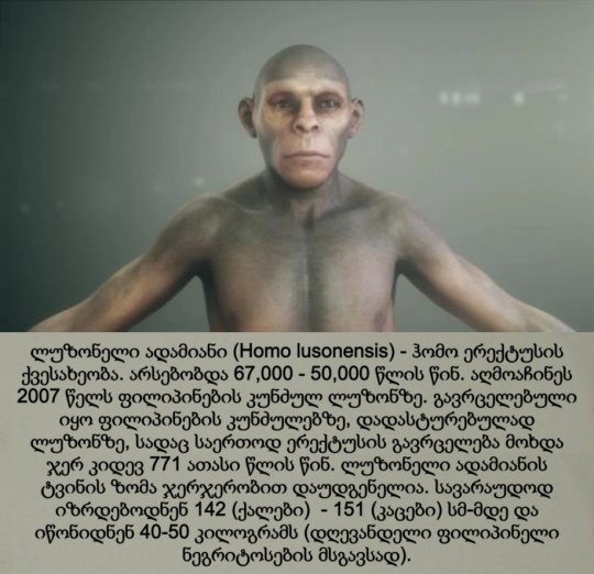 ლუზონელი ადამიანი / Homo lusonensis