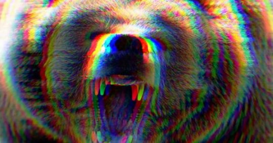 დათვი