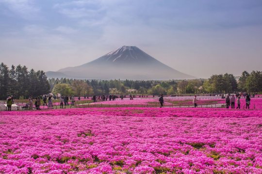 ულამაზესი იაპონია- ტურისტების ფავორიტი 15 ადგილი ამომავალი მზის ქვეყანაში