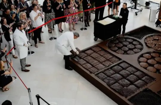 მსოფლიოში ყველაზე დიდი შოკოლადის ყუთი