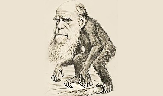 10 მითი ევოლუციის შესახებ, რომლისაც სულ ტყუილად გვჯერა  (II ნაწილი)