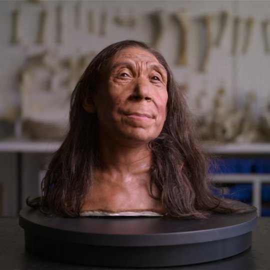 ნეანდერტალელი ქალის აღდგენილი სახე,  რომელიც ძვ.წ. 73, 000 წლისთვის ცხოვრობდა