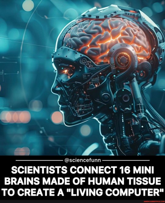 შვეიცარულმა სტარტაპმა შექმნა ადამიანის ტვინის ქსოვილებისგან დამზადებული "ცოცხალი კომპიუტერი"