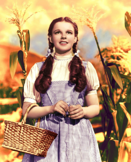 Dorothy’s Wizard of Oz dress