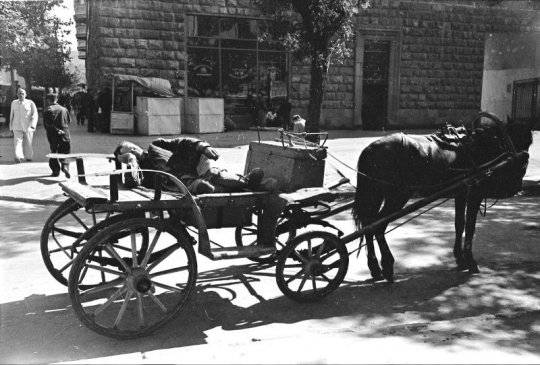 გასეირნება 1950-იანი წლების თბილისში image