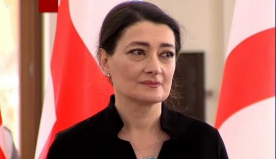 „პარტიების რაღაც კვლევას მოვკარი თვალი, „გამოკვლევებულან“ ადამიანები“ - თაკო ჩარკვიანი