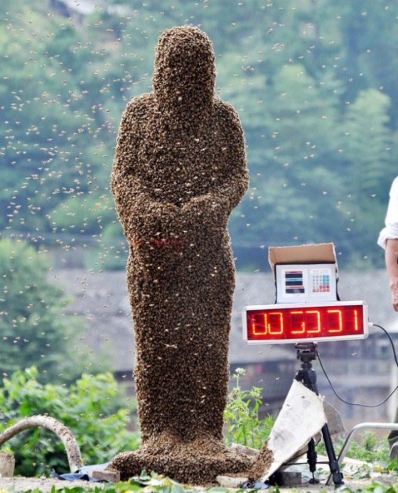გინესის  რეკორდსმენი  ჩინელი მამაკაცი, რომელმაც ტანზე  40  კილოგრამი  ფუტკარი  დაიხვია