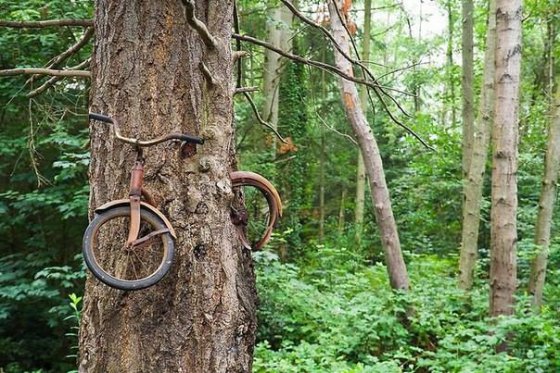 ხემ ველოსიპეტი შთანთქა