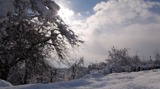 აი ასეთი ღრმა თოვლი გვქონდა წელს სამეგრელოში, ეს კი ჩემი სოფლის გზაა