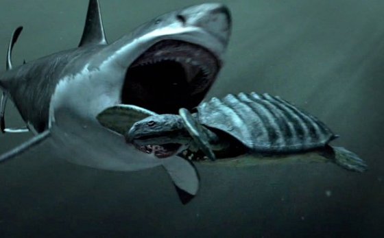 Megalodon - პრეისტორიული ხანის ყველაზე საშინელი არსება, ზვიგენების წინაპარი