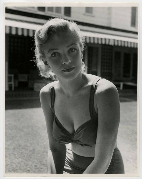 მერლინი 1950 წელი