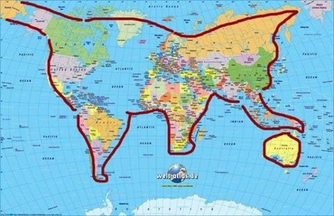 მთელი მსოფლიო ერთი კატაა, რომელიც ავსტრალიით თამაშობს