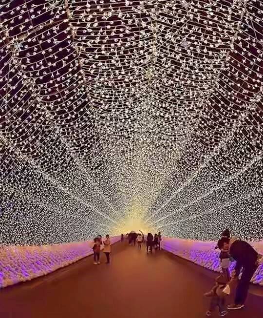 სინათლის ფესტივალი იაპონიაში