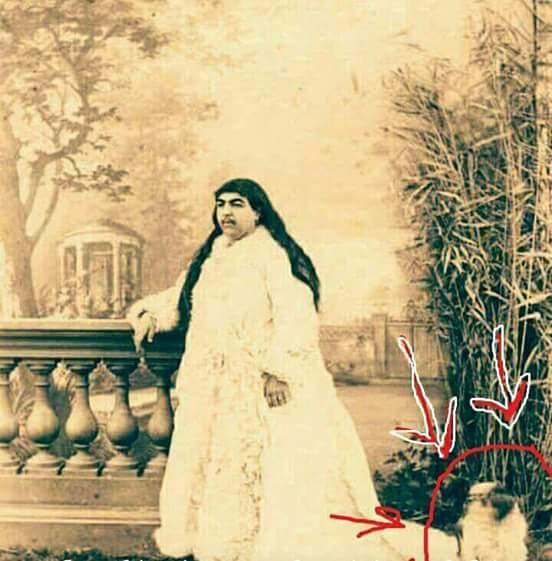 iranis princesa romlis gamoc 13-ma tayvanismcemelma tavi moikla