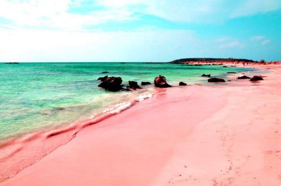 ვარდისფერი ქვიშის პლაჟი,ბაჰამის კუნძულები.