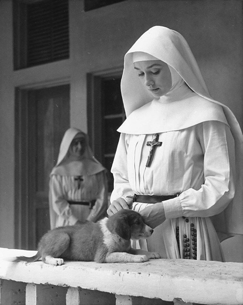ოდრი ჰეპბერნი ლეკვთან ერთად ფილმიდან "The Story of a Nun"