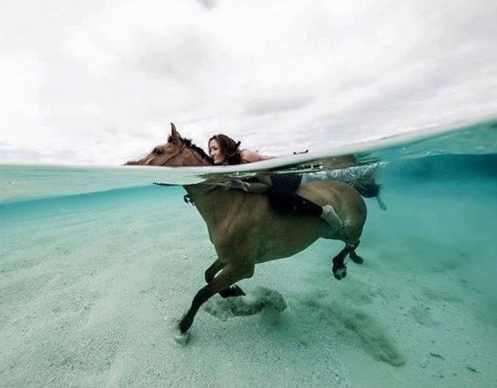 ჰავაიზე 30 ევროდ მსურველებს შეუძლიათ წყალში ცხენით გაისეირნონ