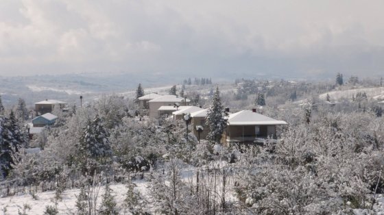 პირველი თოვლი მოვიდა ჩემს სოფელში