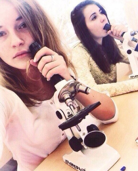 სტუდენტებს მიკროსკოპი ეტყობა ჩასაბერი ინსტრუმენტი ჰგონიათ
