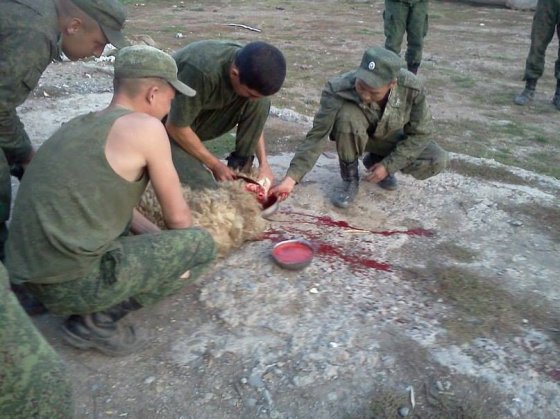 ასეთი ველურები მსახურობენ რუსულ ჯარში, დაკლული ცხვრის სისხლს აგროვებენ და მერე სვამენ