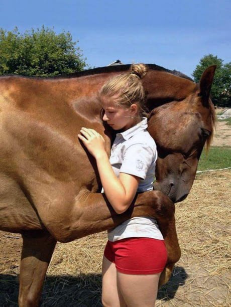 ვინ თქვა ცხოველებმა ადამიანებზე ნაკლებად იციან სიყვარულიო? ნახეთ ეს ცხენი და გოგო