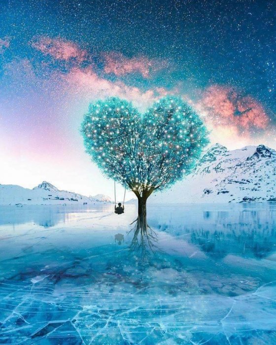საოცრად ლამაზი ხე, რომელსაც გულის ფორმა აქვს