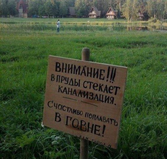 "ბედნიერ ბანაობას გისურვებთ ნეხვში" ანუ ასეთ წარწერას მხოლოდ რუსეთში თუ ნახავთ