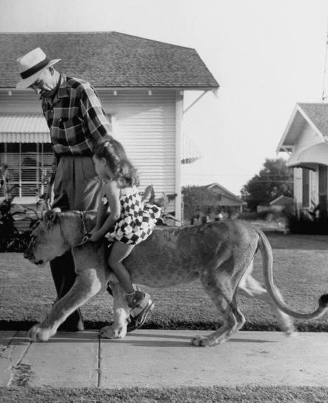 ოჯახის ორი წევრი ,მათ საყვარელ შინაურ ცხოველთან ერთად ტეხასიდან. 1953 წელი