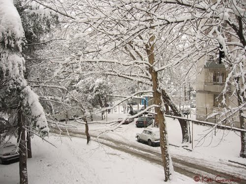 თბილისში ახალი წლის ღამეს თოვლია მოსალოდნელი