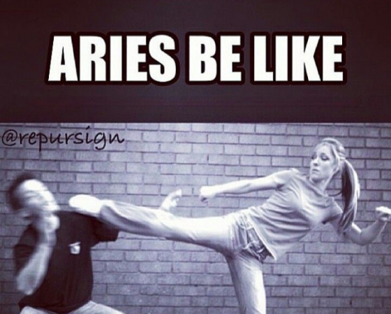 Aries  ვერძი
