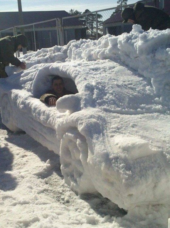 თოვლის მანქანა