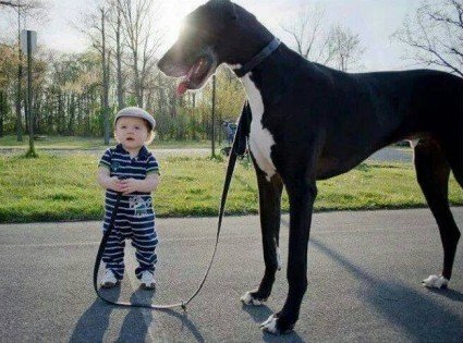 უყვარს ბავშვს თავისი ცხენის გასეირნება