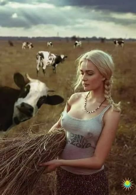 გოგონა და ცნობისმოყვარე ძროხა