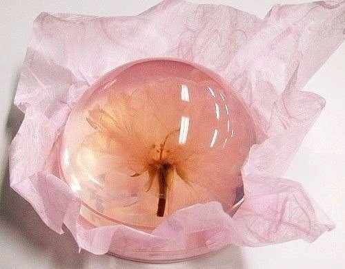 საკურას ყვავილი ატმის  ჟელეში-იაპონური ტკბილეული