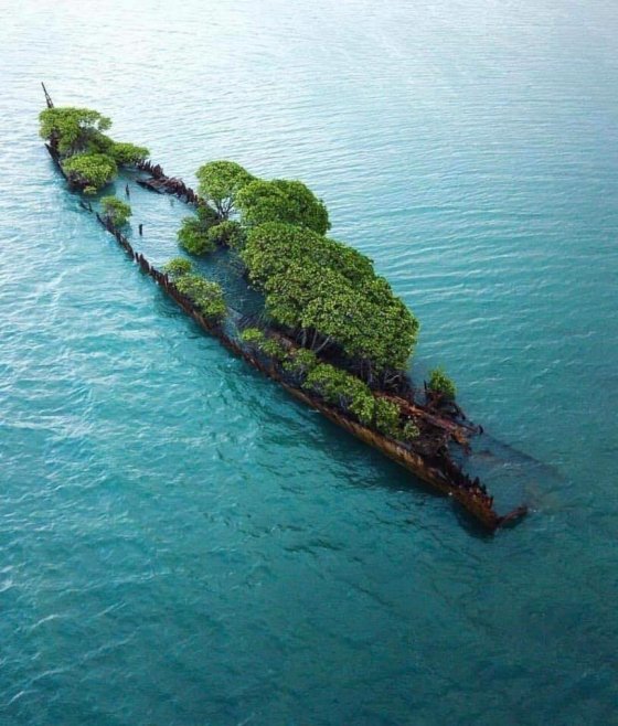 ბუნებამ გაიმარჯვა (წლების წინ ჩაძირული გემი)